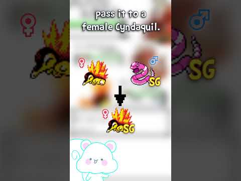 Shiny Hunting in Pokemon: Generation 2 - Shiny Breeding