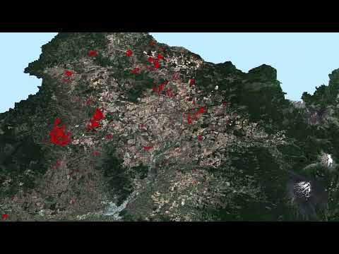 Superficie vegetal afectada en incendios forestales de región de la Araucanía, temporada 2024-2025.