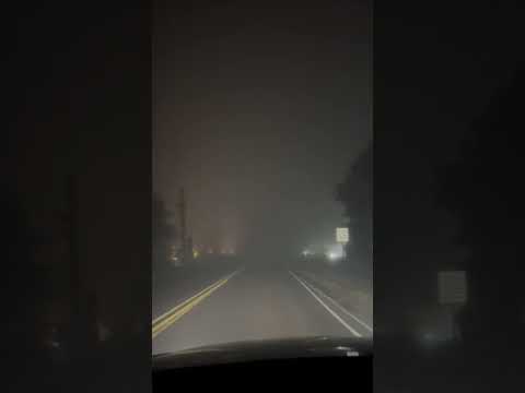 Do Fog Lights actually work?