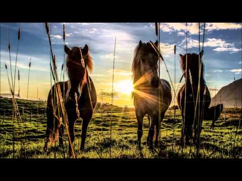 Alan Stivell - Rêves (audio)