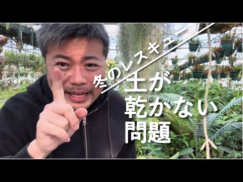 冬場の土壌浸食を防ぐにはどうすればよいでしょうか？今すぐ庭で取り入れるべき10のアクション！  庭園