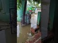 Telugu Liger Musicgenre Nature Ligermovie Facts Ligertelugumovie Indianmusic Love Ligerpro