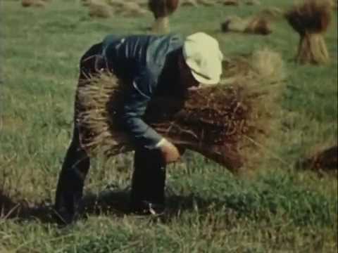 Le lin du Canada. Première partie : la culture du lin