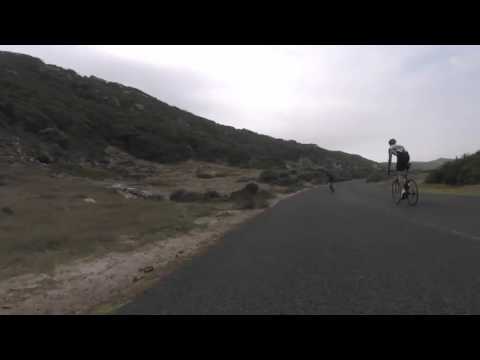 strauss verfolgt radfahrer