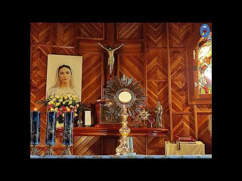 Pustelnia 30.01.2022 - Koronka do Bożego Miłosierdzia