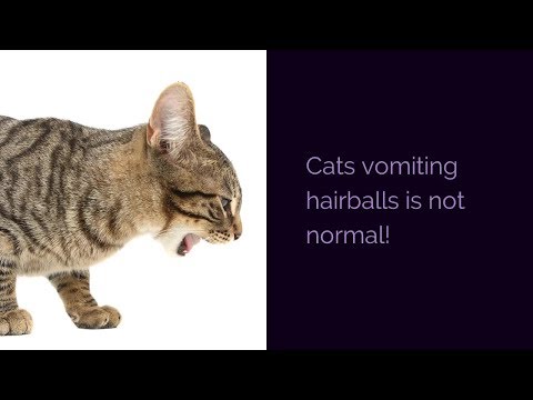 DOES YOUR CAT VOMIT HAIRBALLS?