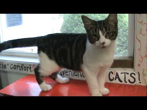 Subra - M2U01466 -.MPG