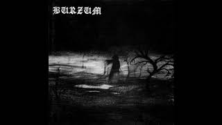 Burzum - Feeble Screams From Forests Unknown
