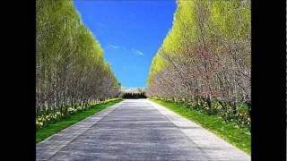 Soberbeah - Pulley cover