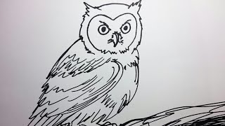 53+ Gambar Kolase Burung Hantu Biji Bijian HD Terbaik