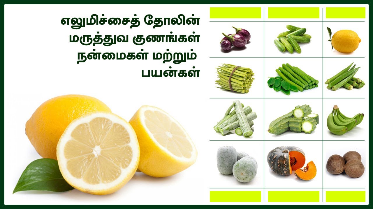 எலுமிச்சை | ஊறுகாய் | செடி | மாலை | பலம் | ரசம் | ஜீஸ் | சாகுபடி | விளக்கு | சாதம் : +919994443517