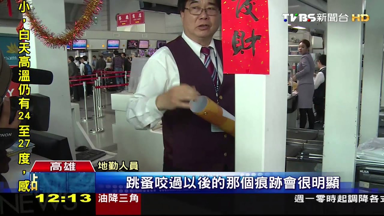 小港國際航廈跳蚤肆虐! 10餘家地勤遭殃