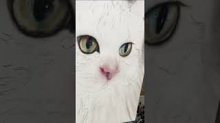 Download lagu Pet portraits airbrushed mp3