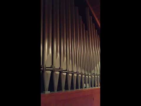 The Ghost and Mr Chicken Live! (2013)