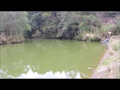 Lago Mukai (2019.01.28.)