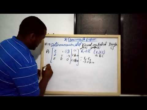 Determinación del kernel, nulidad y rango ejercicios de repaso 33.