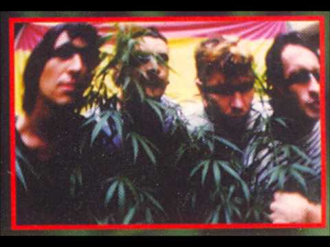 Las Plantas De Shiva - Mi Planta De Aji [Día De Sol]