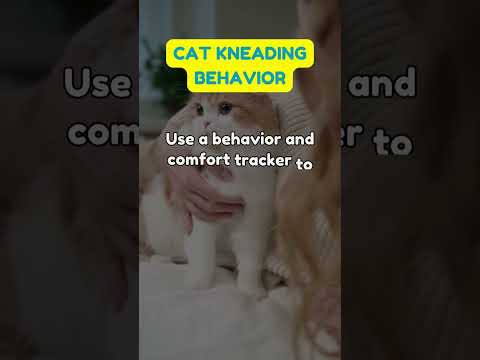 Unraveling Cat Kneading Behavior: Pet Theory, Fun Facts, and Health Tips for Kids