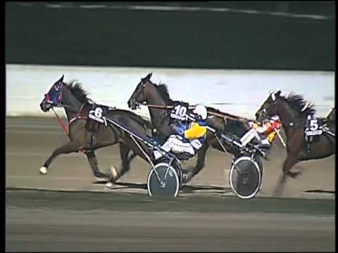 Trotto 07/02/2016 - 7° corsa