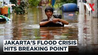 Download lagu '10 Floods In One Month' East Jakarta Submerged As Ciliwung River Overflows | VERTEX mp3