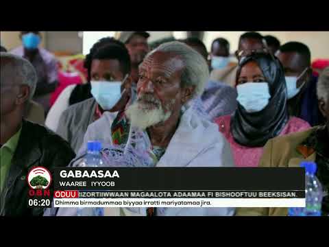 Gujiin Lixaa Fayyaan Faaya jedhe