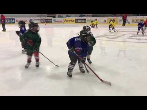 Ecole de Hockey / Gottéron