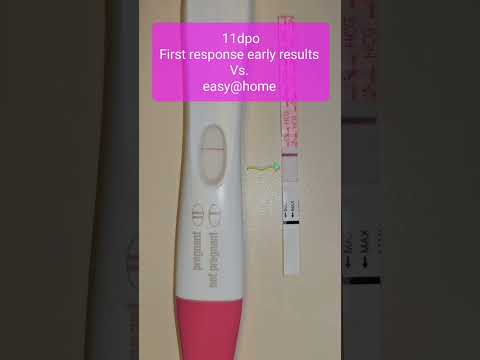 11dpo live pregnancy test battle #baby #pregnancy #pregnancytest #pregnant #livepregnancytest #ttc