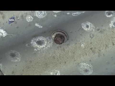 Tribune SV Den Hoorn roest