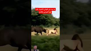 المعركة المفقود ماذا حدث فالثواني الأخيرة💥#shorts