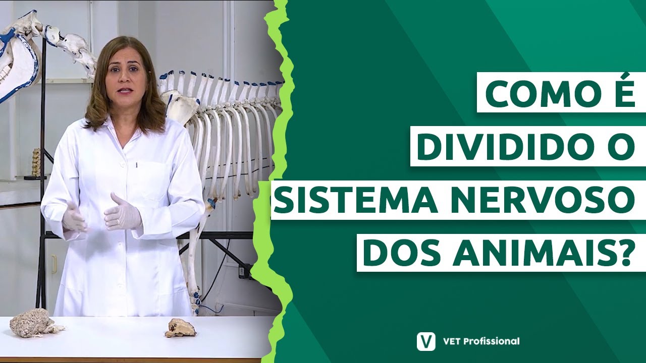 Fisiologia Veterinária - Sistema nervoso