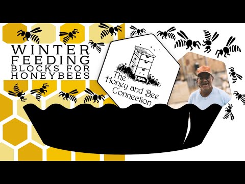 Beekeepers Guide to Winter Feeding Blocks for Honeybees | The Honey and Bee Connection
