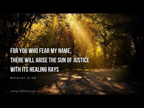 World Day of the Poor, Thirty-Third Sunday in Ordinary Time Year C Sunday November 16th 2025