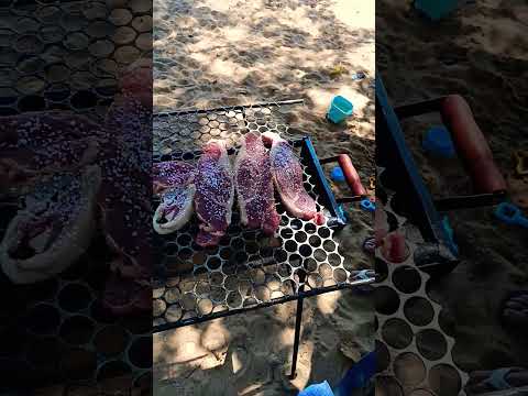 Galera um excelente local para trazer a família. entre rios do oeste