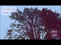 Beachwood Sparks - Sister Rose