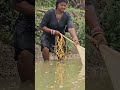Amazing Village Women Net Fishing Shorts Fishing
