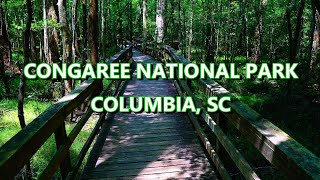 Congaree National Park - Columbia - South Carolina  // 4K