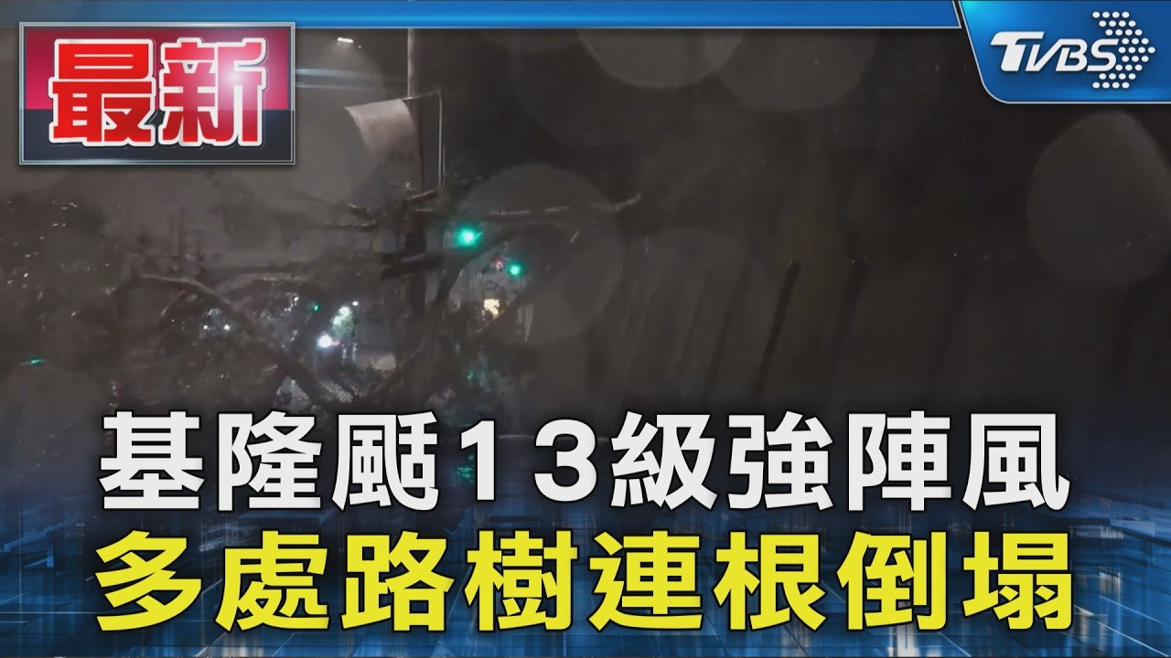 基隆颳13級強陣風 多處路樹連根倒塌｜TVBS新聞 @TVBSNEWS01