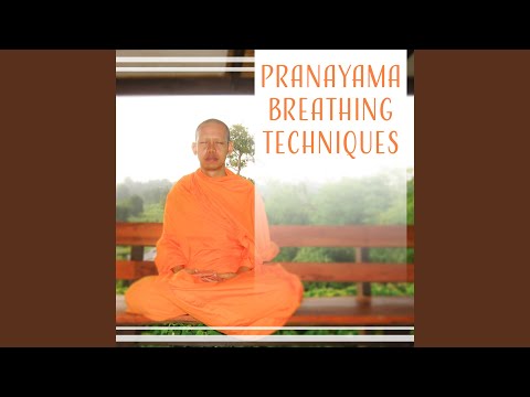 Instrumental Tao Music