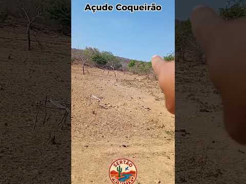 Açude Coqueirão Município de Flores do Piauí #açude #natureza #caatinga #sertao #nordeste