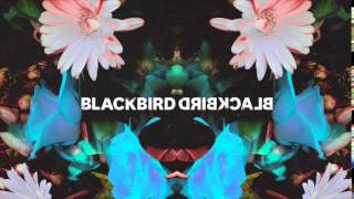 Blackbird Blackbird - Waikiki