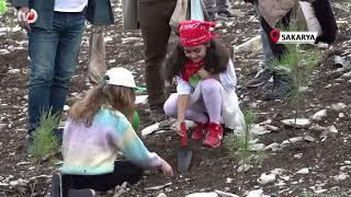 4 Bin 500 Fidan Yanan Ormanlık Alanda Toprakla Buluştu