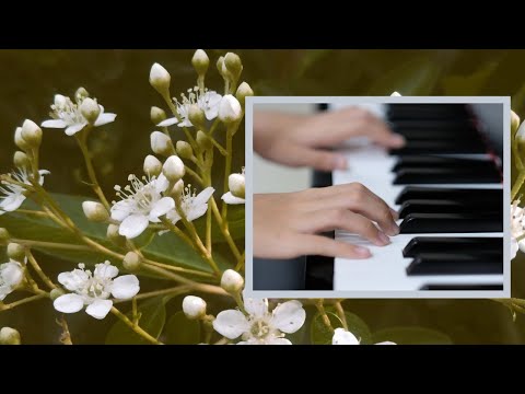 Frеdеric Chopin - Nocturne  in E Flat Major op.9 No.2