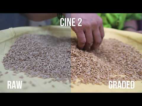 Testing of CINE 2 Picture Profile on Sony a6300 + Sigma 16mm