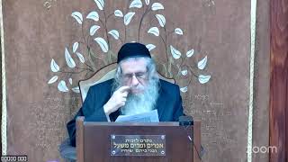 הרה"ג הרב וועכטר שליט"א כ"ט טבת תשפ"ה - מאמר הרבי הריי"צ באתי לגני תש"י (הרב אברהם מנחם מענדל וכטר) - התמונה מוצגת ישירות מתוך אתר האינטרנט יוטיוב. זכויות היוצרים בתמונה שייכות ליוצרה. קישור קרדיט למקור התוכן נמצא בתוך דף הסרטון