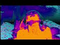 Motion | Front 242