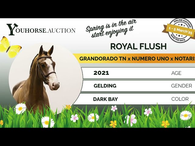 Royal Flush flatwork