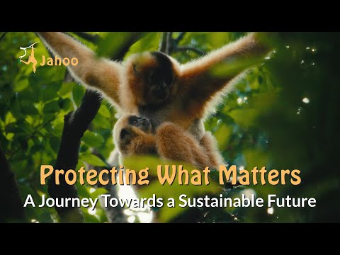 Protecting What Matters