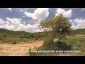 Pepper Plantation May 2014 HD
