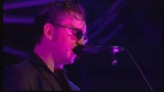 Richard Hawley - 09 Oh My Love "Pro Shot" (Live At FIB Festival 08)