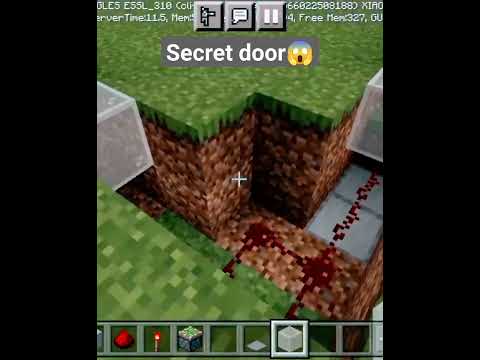 Uncover Secret Door in Minecraft